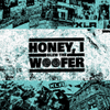 Honey, I Blew The Woofer