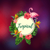 Sala Tropical 🌴🥭