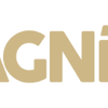 Magnific Fest