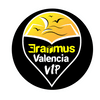 Erasmus Valencia VIP