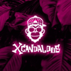XCANDALOUS
